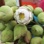 Den komplette guide til verdens smukkeste byer og hvordan man udforsker kunst og kultur