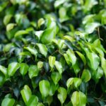 Syv ting du skal vide om kunst og kultur