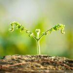 Skab vækst med effektmåling: En guide til marketing mix modelling