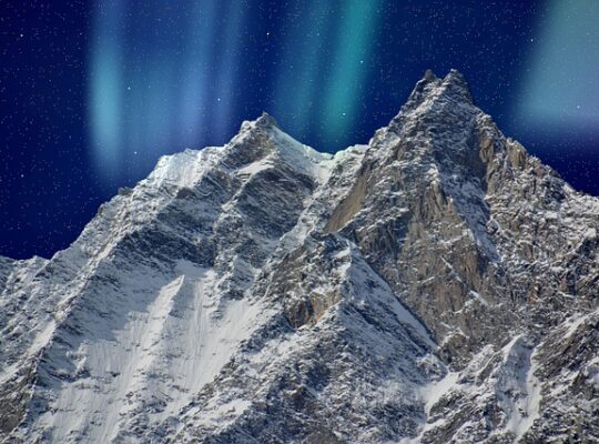 Skjulte gebyrer – det skal du kigge efter i prissammenligningen